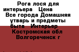 Рога лося для интерьера › Цена ­ 3 300 - Все города Домашняя утварь и предметы быта » Интерьер   . Костромская обл.,Волгореченск г.